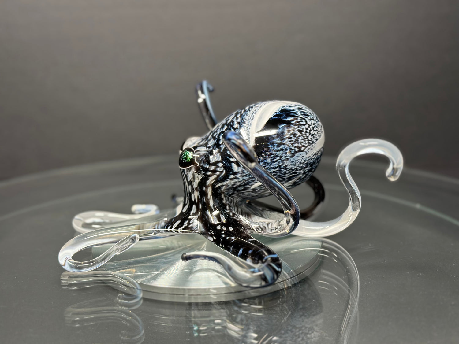 CREATURES
IN GLASS